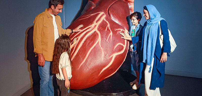 کارت سازمانی 32 600x800 human park