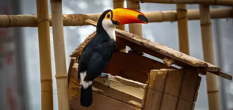 کارت سازمانی 98 bagh-1