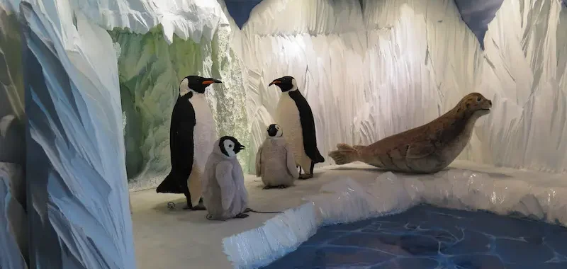 کارت سازمانی 40 اقیانوس-پارک-سه-کارت-سازمانی