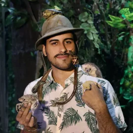 باگزلند و جانگل لند