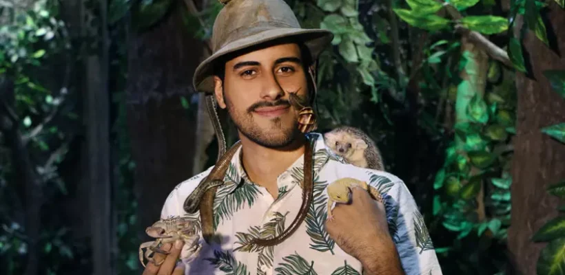 باگزلند و جانگل لند