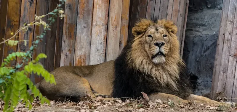 کارت سازمانی 102 پارک-ارم-2