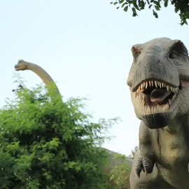 ژوراسیک اسپایدر پارک